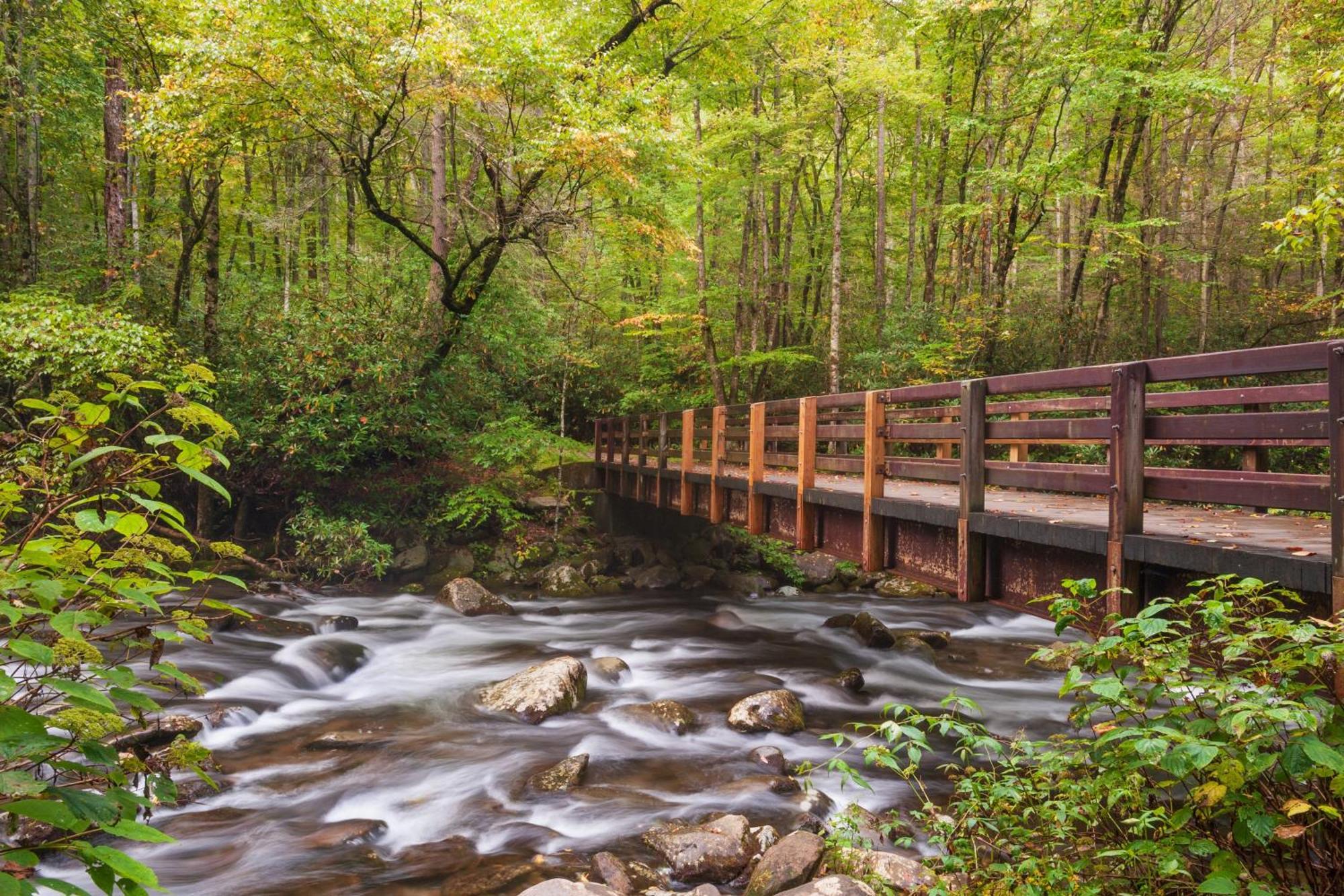 Tranquility Hollow, Indoor Pool, Game Room, 1089 Free Tickets Each Paid Day, Dollywood And More! Sevierville Exteriér fotografie